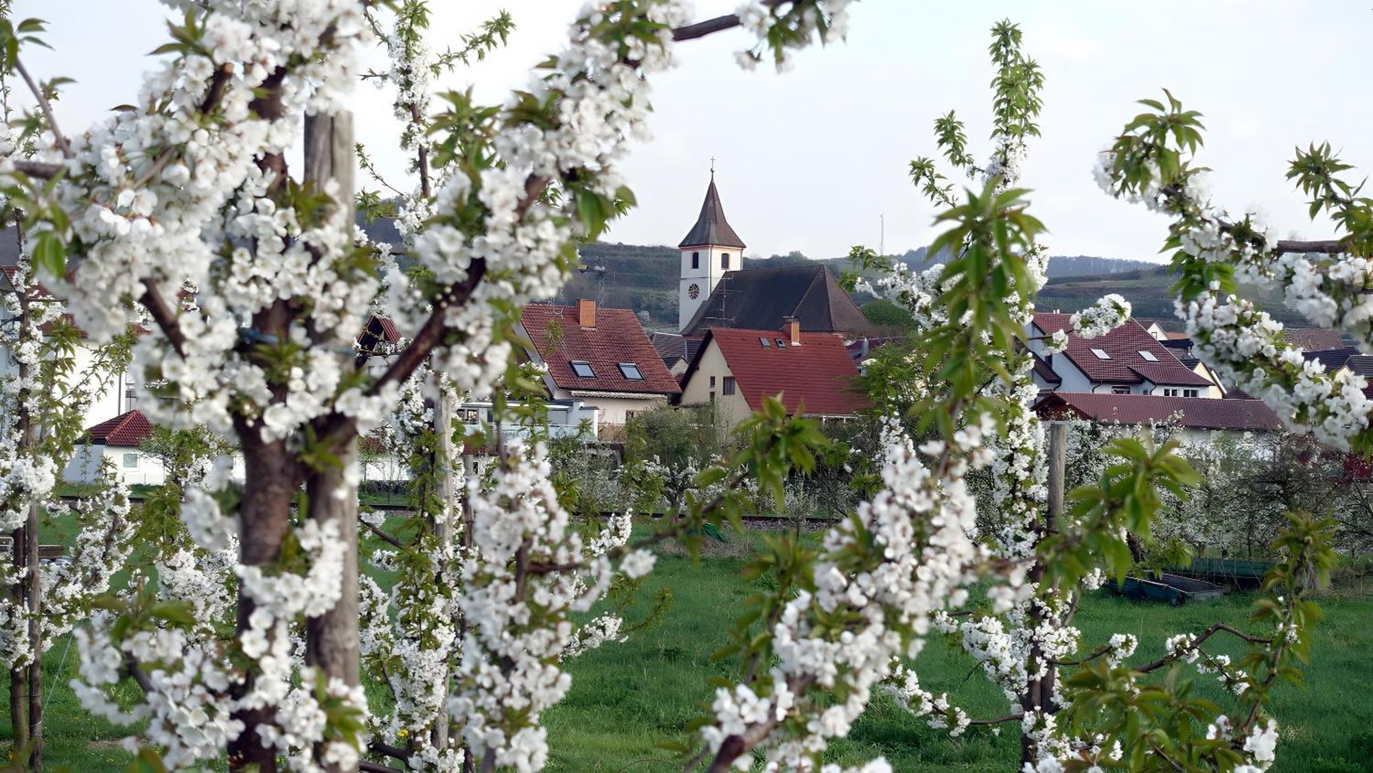 Ferienwohnung Fliegerhorst Endingen am Kaiserstuhl Exteriör bild