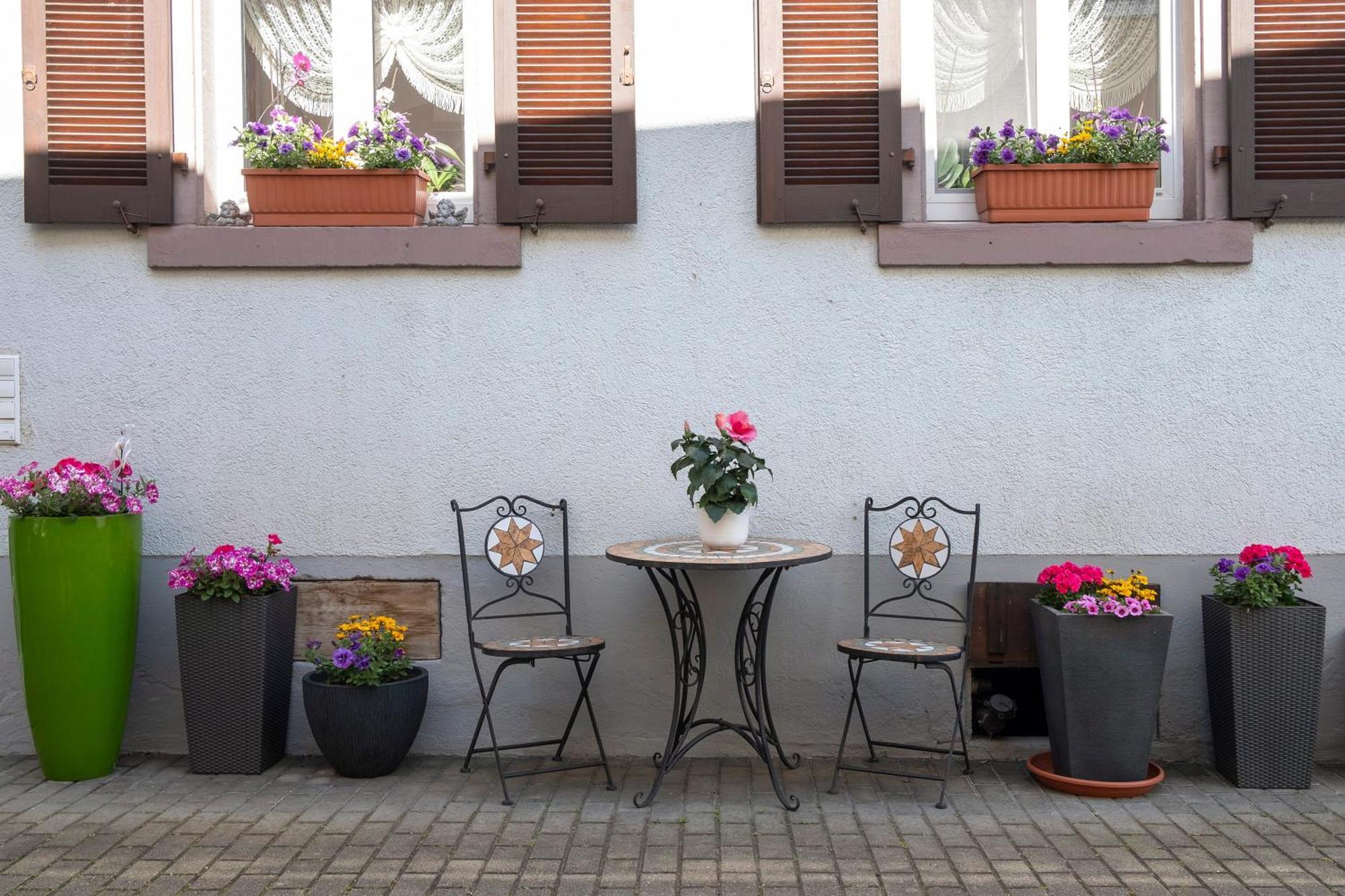 Ferienwohnung Fliegerhorst Endingen am Kaiserstuhl Exteriör bild